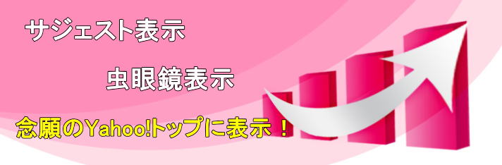 サジェスト表示・虫眼鏡表示　念願のYahoo!トップに表示