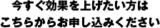 今すぐ効果を上げたい方はこちらからお申し込みください